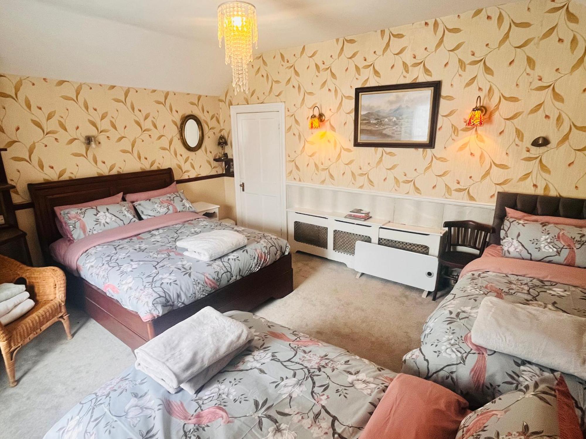 Kingfisher Lodge & Pub Castleconnell Rum bild